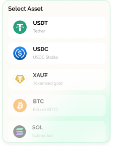 asset_0